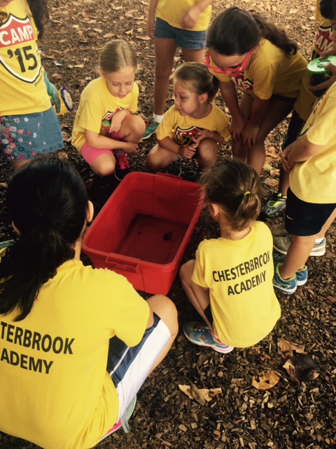 Chesterbrook Academy News – Chesterbrook Academy