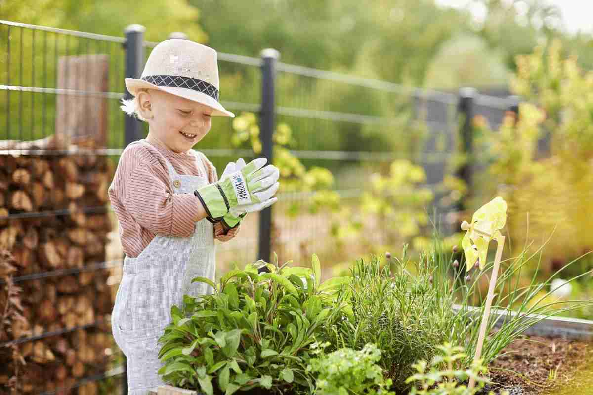 Young child gardening